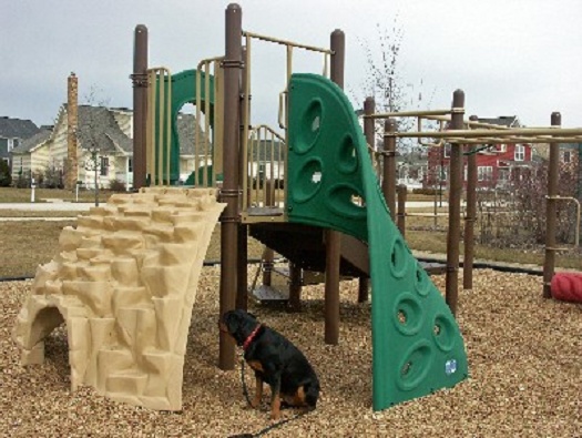 Levi Baxter Levi Baxter