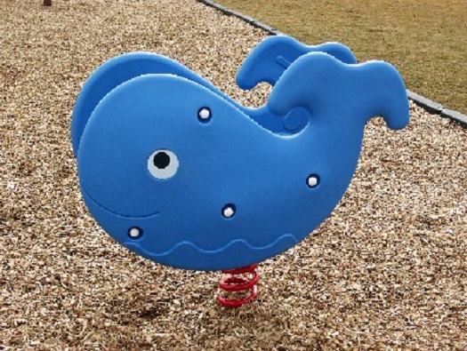 Levi Baxter Levi Baxter